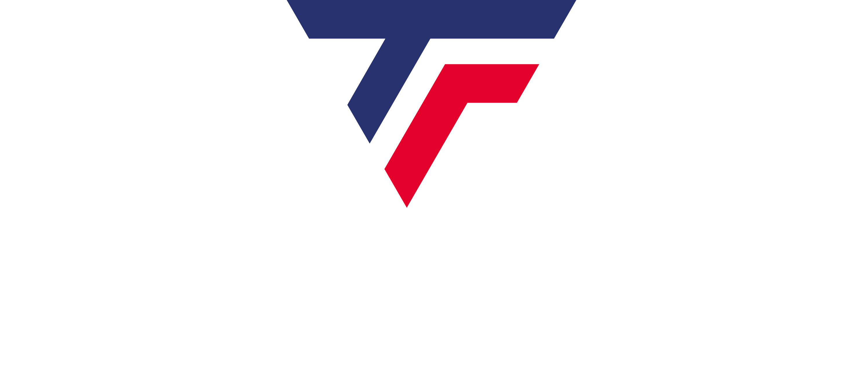 Tecnifibre